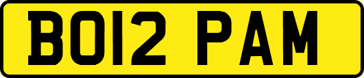BO12PAM