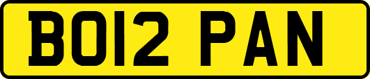BO12PAN