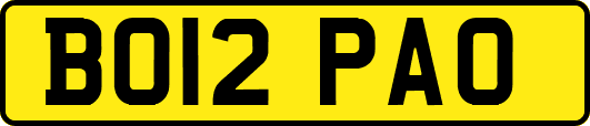 BO12PAO
