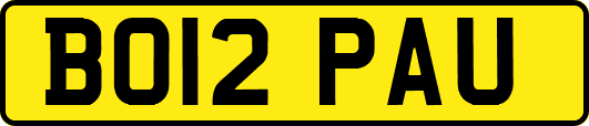 BO12PAU