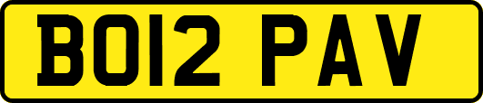 BO12PAV