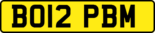 BO12PBM
