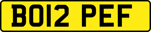 BO12PEF
