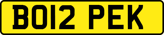 BO12PEK