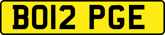BO12PGE