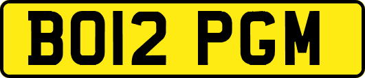 BO12PGM