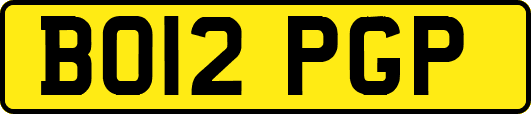 BO12PGP