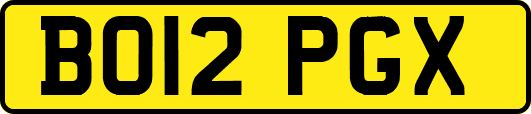 BO12PGX