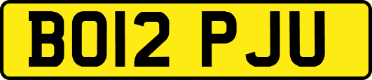 BO12PJU