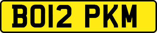 BO12PKM