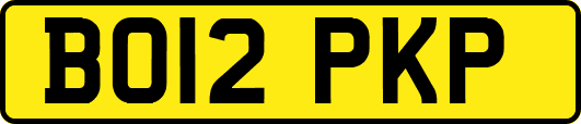 BO12PKP