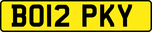 BO12PKY