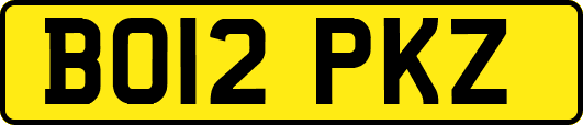 BO12PKZ