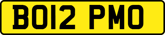 BO12PMO