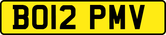 BO12PMV