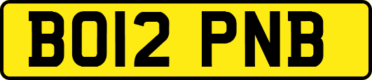 BO12PNB