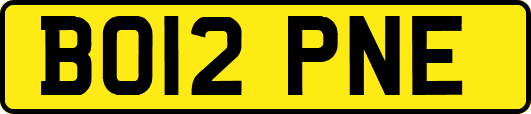 BO12PNE