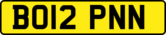 BO12PNN