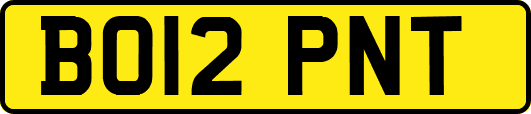BO12PNT