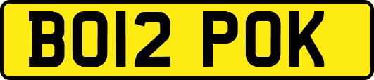 BO12POK