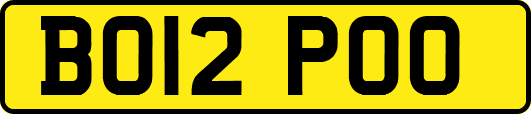 BO12POO