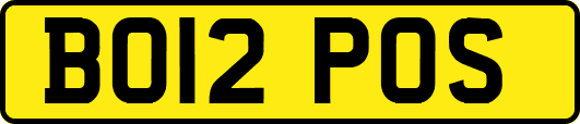 BO12POS