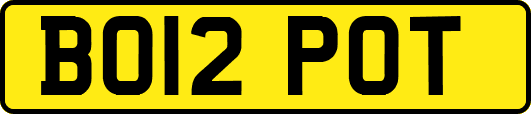BO12POT