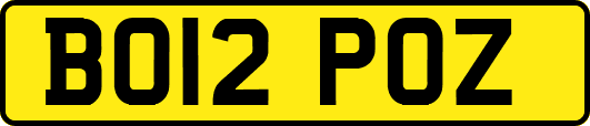 BO12POZ