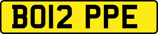 BO12PPE