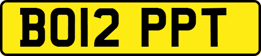 BO12PPT