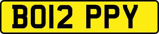 BO12PPY