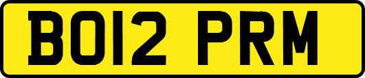 BO12PRM