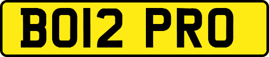 BO12PRO