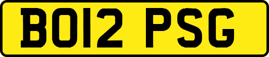 BO12PSG