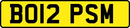 BO12PSM