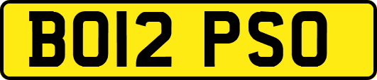 BO12PSO