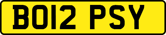 BO12PSY