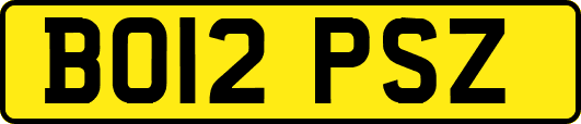BO12PSZ