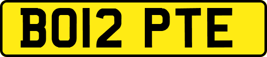 BO12PTE