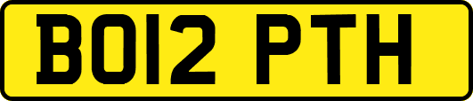 BO12PTH
