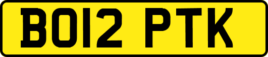 BO12PTK