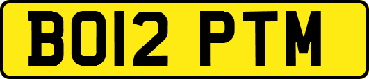 BO12PTM