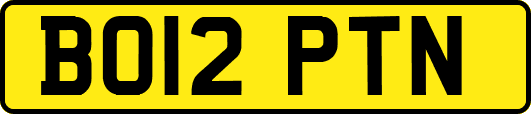 BO12PTN