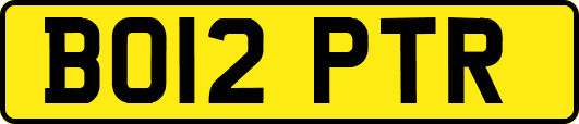 BO12PTR