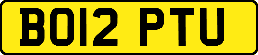 BO12PTU