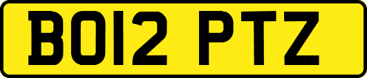 BO12PTZ