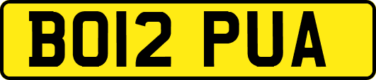 BO12PUA