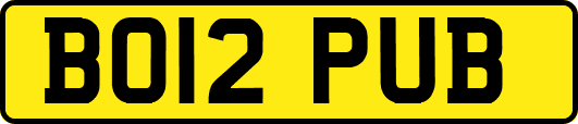BO12PUB