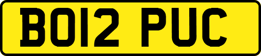 BO12PUC