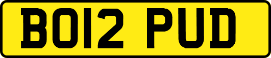 BO12PUD